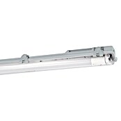 Eglo Regleta estanca Basic 1 (23 W, Blanco, Blanco neutro, 156 cm, 7,3 cm) | BAUHAUS