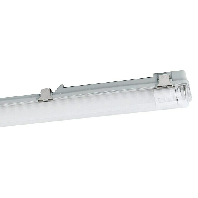 Eglo Plafón para pared y techo Basic Plus 2 (30 W, Blanco, Blanco neutro, 126 cm, 9,9 cm) | BAUHAUS