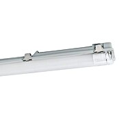 Eglo Plafón para pared y techo Basic Plus 2 (30 W, Blanco, Blanco neutro, 126 cm, 9,9 cm) | BAUHAUS