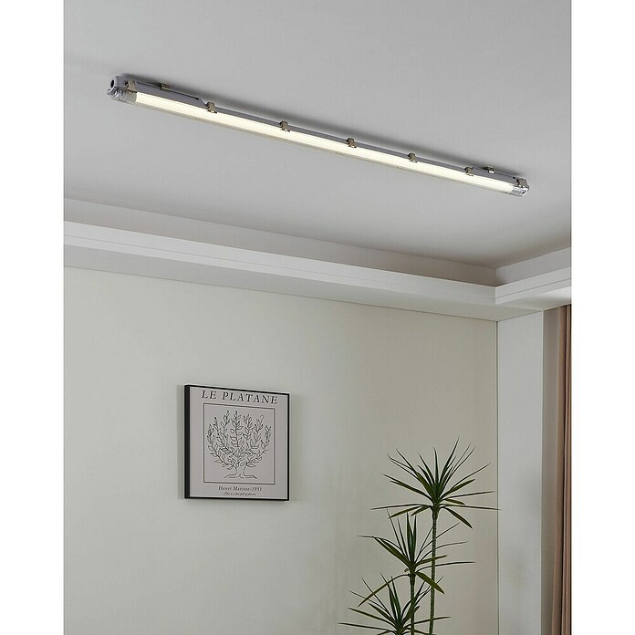 Eglo Tubo LED T8 (Largo: 121,4 cm, Blanco neutro, 15 W, 1.700 lm, G13) | BAUHAUS