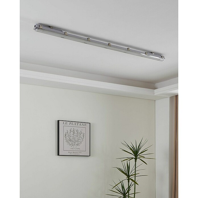 Eglo Tubo LED T8 (Largo: 121,4 cm, Blanco neutro, 15 W, 1.700 lm, G13) | BAUHAUS