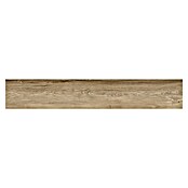 Tau ceramica Keramische tegel Eternal Roble (20 x 120 cm, Roble, Mat) | BAUHAUS