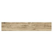 Tau ceramica Keramische tegel Eternal Roble (20 x 120 cm, Roble, Mat) | BAUHAUS