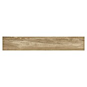 Tau ceramica Keramische tegel Eternal Roble (20 x 120 cm, Roble, Mat) | BAUHAUS