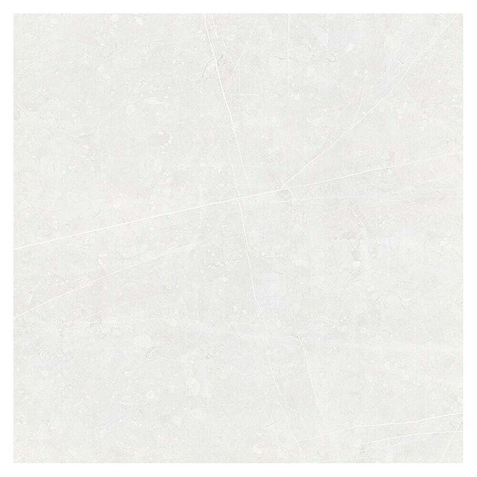 Tau ceramica Keramische tegel Altamura Pearl (60 x 60 cm, Wit, Mat) | BAUHAUS