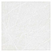 Tau ceramica Keramische tegel Altamura Pearl (60 x 60 cm, Wit, Mat) | BAUHAUS