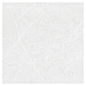 Tau ceramica Keramische tegel Altamura Pearl (60 x 60 cm, Wit, Mat) | BAUHAUS
