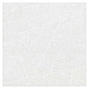 Tau ceramica Keramische tegel Altamura Pearl (60 x 60 cm, Wit, Mat) | BAUHAUS