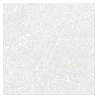 Tau ceramica Keramische tegel Altamura Pearl (60 x 60 cm, Wit, Mat)