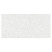 Tau ceramica Keramische tegel Altamura Pearl (30 x 60 cm, Pearl, Mat) | BAUHAUS