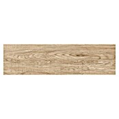 Tau ceramica Keramische tegel Ragusa Sand (20 x 75 cm, Sand, Mat) | BAUHAUS