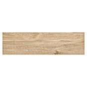 Tau ceramica Keramische tegel Ragusa Sand (20 x 75 cm, Sand, Mat) | BAUHAUS