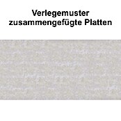Bariperfil Aqua Wandverkleidung (60 x 30 cm, Beige meliert) | BAUHAUS