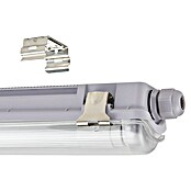 Eglo Stenska in stropna svetilka Basic  (15 W, Siva, Nevtralno bela, 126 cm, 7,3 cm) | 3016 - Deckenleuchte | CACB - Deckenleuchten | CAC - Indoorleuchten | CA - Beleuchtung | C - Elektro | BAUHAUS