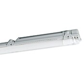 Eglo Stenska in stropna svetilka Basic  (15 W, Siva, Nevtralno bela, 126 cm, 7,3 cm) | 3016 - Deckenleuchte | CACB - Deckenleuchten | CAC - Indoorleuchten | CA - Beleuchtung | C - Elektro | BAUHAUS