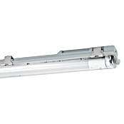 Eglo Zidna i stropna svjetiljka Basic Plus  (10 W, Neutralno bijelo, 65 cm, 7,3 cm) | BAUHAUS