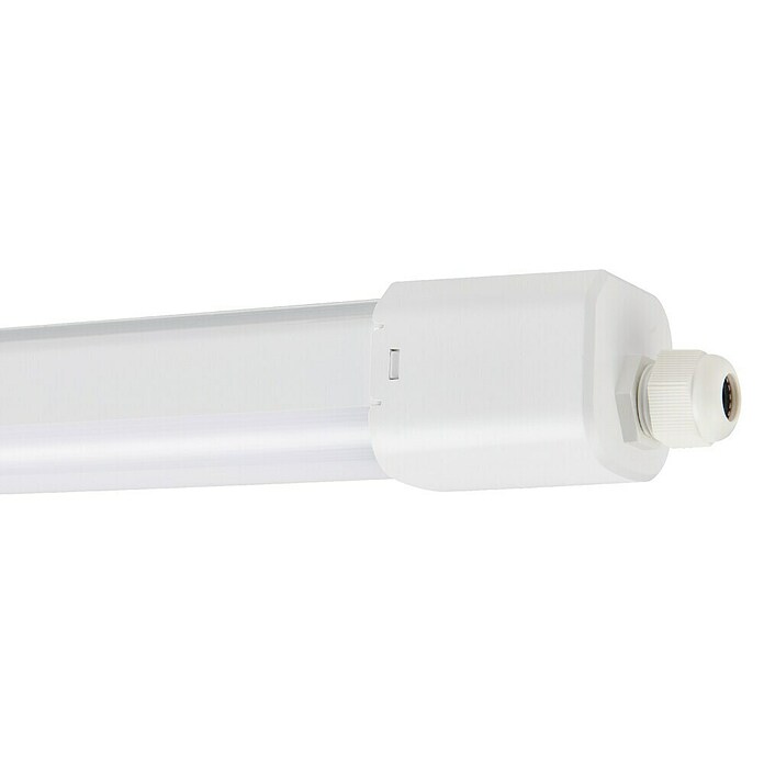 Eglo Svetilka za vlažne prostore Slim  (32 W, Do x Š x V: 115,5 x 5,8 x 5,5 cm, Bela, Nevtralno bela) | 3095 - Kellerlicht | CAKA - Zweckleuchten | CAK - Technisches Licht | CA - Beleuchtung | C - Elektro | BAUHAUS