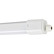 Eglo Svetilka za vlažne prostore Slim  (32 W, Do x Š x V: 115,5 x 5,8 x 5,5 cm, Bela, Nevtralno bela) | 3095 - Kellerlicht | CAKA - Zweckleuchten | CAK - Technisches Licht | CA - Beleuchtung | C - Elektro | BAUHAUS