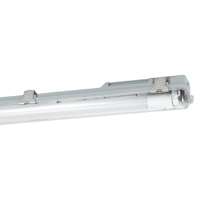 Eglo Stenska in stropna svetilka Basic Plus  (23 W, Siva, Nevtralno bela, 156 cm, 7,3 cm) | 3095 - Kellerlicht | CAKA - Zweckleuchten | CAK - Technisches Licht | CA - Beleuchtung | C - Elektro | BAUHAUS