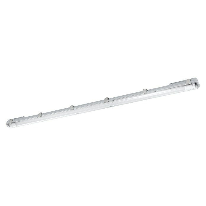 Eglo Stenska in stropna svetilka Basic Plus  (23 W, Siva, Nevtralno bela, 156 cm, 7,3 cm) | 3095 - Kellerlicht | CAKA - Zweckleuchten | CAK - Technisches Licht | CA - Beleuchtung | C - Elektro | BAUHAUS