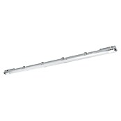 Eglo Stenska in stropna svetilka Basic Plus  (23 W, Siva, Nevtralno bela, 156 cm, 7,3 cm) | 3095 - Kellerlicht | CAKA - Zweckleuchten | CAK - Technisches Licht | CA - Beleuchtung | C - Elektro | BAUHAUS