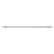 Eglo Svetilka za vlažne prostore Slim  (32 W, Do x Š x V: 115,5 x 5,8 x 5,5 cm, Bela, Nevtralno bela) | 3095 - Kellerlicht | CAKA - Zweckleuchten | CAK - Technisches Licht | CA - Beleuchtung | C - Elektro | BAUHAUS