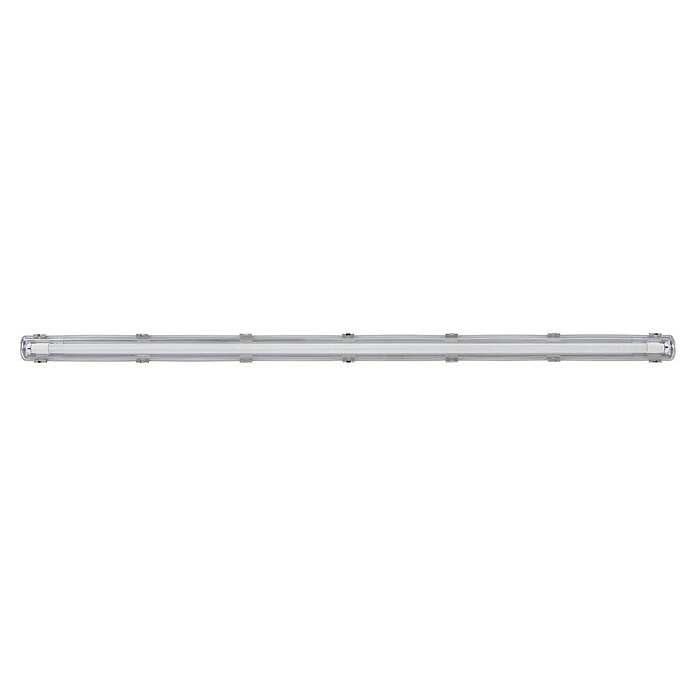 Eglo Stenska in stropna svetilka Basic Plus  (23 W, Siva, Nevtralno bela, 156 cm, 7,3 cm) | 3095 - Kellerlicht | CAKA - Zweckleuchten | CAK - Technisches Licht | CA - Beleuchtung | C - Elektro | BAUHAUS