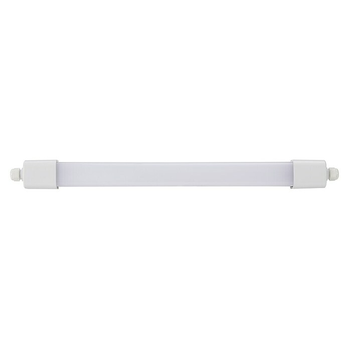 Eglo Svetilka za vlažne prostore Slim  (16 W, Do x Š x V: 65 x 5,8 x 5,5 cm, Bela, Nevtralno bela) | 3095 - Kellerlicht | CAKA - Zweckleuchten | CAK - Technisches Licht | CA - Beleuchtung | C - Elektro | BAUHAUS