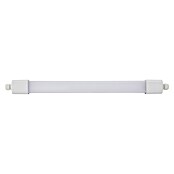 Eglo Svetilka za vlažne prostore Slim  (16 W, Do x Š x V: 65 x 5,8 x 5,5 cm, Bela, Nevtralno bela) | 3095 - Kellerlicht | CAKA - Zweckleuchten | CAK - Technisches Licht | CA - Beleuchtung | C - Elektro | BAUHAUS