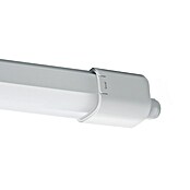 Eglo Svetilka za vlažne prostore Slim  (16 W, Do x Š x V: 65 x 5,8 x 5,5 cm, Bela, Nevtralno bela) | 3095 - Kellerlicht | CAKA - Zweckleuchten | CAK - Technisches Licht | CA - Beleuchtung | C - Elektro | BAUHAUS