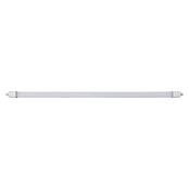 Eglo Svetilka za vlažne prostore Slim  (48 W, Do x Š x V: 155 x 5,8 x 5,5 cm, Bela, Nevtralno bela) | 3095 - Kellerlicht | CAKA - Zweckleuchten | CAK - Technisches Licht | CA - Beleuchtung | C - Elektro | BAUHAUS