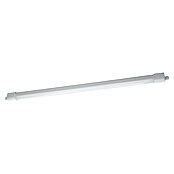 Eglo Stenska in stropna svetilka Slim Sensor  (30 W, Do x Š x V: 110,5 x 5,6 x 5,3 cm, Bela, Nevtralno bela) | 3095 - Kellerlicht | CAKA - Zweckleuchten | CAK - Technisches Licht | CA - Beleuchtung | C - Elektro | BAUHAUS