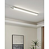 Eglo Zidna i stropna svjetiljka Slim  (48 W, D x Š x V: 155 x 5,8 x 5,5 cm, Neutralno bijelo) | BAUHAUS