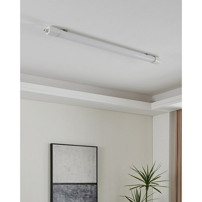 Eglo Stenska in stropna svetilka Slim Sensor  (30 W, Do x Š x V: 110,5 x 5,6 x 5,3 cm, Bela, Nevtralno bela) | 3095 - Kellerlicht | CAKA - Zweckleuchten | CAK - Technisches Licht | CA - Beleuchtung | C - Elektro | BAUHAUS