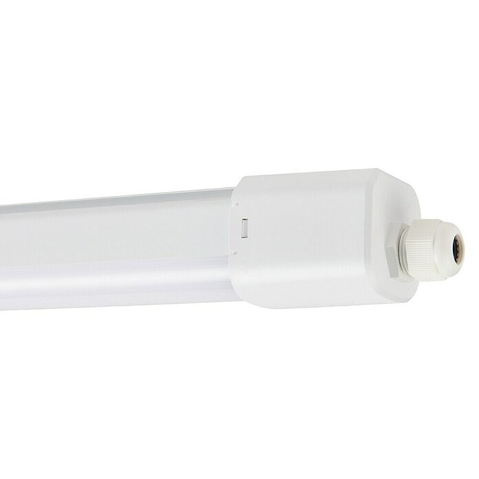 Eglo Svetilka za vlažne prostore Slim  (48 W, Do x Š x V: 155 x 5,8 x 5,5 cm, Bela, Nevtralno bela) | 3095 - Kellerlicht | CAKA - Zweckleuchten | CAK - Technisches Licht | CA - Beleuchtung | C - Elektro | BAUHAUS