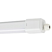 Eglo Svetilka za vlažne prostore Slim  (48 W, Do x Š x V: 155 x 5,8 x 5,5 cm, Bela, Nevtralno bela) | 3095 - Kellerlicht | CAKA - Zweckleuchten | CAK - Technisches Licht | CA - Beleuchtung | C - Elektro | BAUHAUS