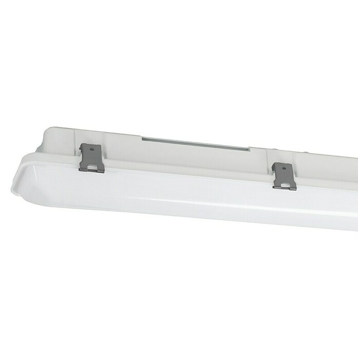 Eglo Svetilka za vlažne prostore Prime  (37 W, Do x Š x V: 149 x 8,5 x 8 cm, Siva, Nevtralno bela) | 3016 - Deckenleuchte | CACB - Deckenleuchten | CAC - Indoorleuchten | CA - Beleuchtung | C - Elektro | BAUHAUS