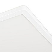 Eglo LED stropna svetilka Minerario  (20,2 W, Do x Š x V: 39 x 39 x 3 cm, Bela, Toplo bela) | 3016 - Deckenleuchte | CACB - Deckenleuchten | CAC - Indoorleuchten | CA - Beleuchtung | C - Elektro | BAUHAUS