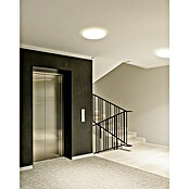 Eglo LED stropna svetilka Minerario  (20,2 W, Ø x V: 39 x 3 cm, Bela, Toplo bela) | 3016 - Deckenleuchte | CACB - Deckenleuchten | CAC - Indoorleuchten | CA - Beleuchtung | C - Elektro | BAUHAUS