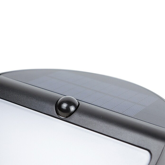 Arte confort Aplique exterior LED con sensor Prion (L x An x Al: 20 x 9,7 x 20 cm) | BAUHAUS
