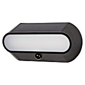 Arte confort Aplique solar LED para exterior Evra (1,5 W, Blanco cálido, Negro) | BAUHAUS