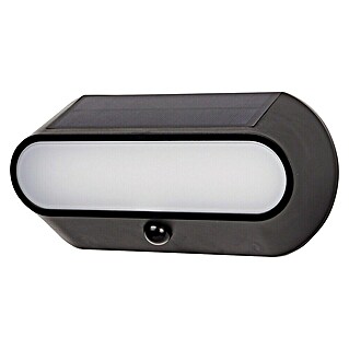 Arte confort Aplique solar LED para exterior Evra (1,5 W, Blanco cálido, Negro)