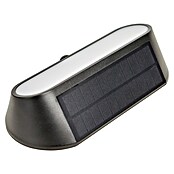 Arte confort Aplique solar LED para exterior Evra (1,5 W, Blanco cálido, Negro) | BAUHAUS