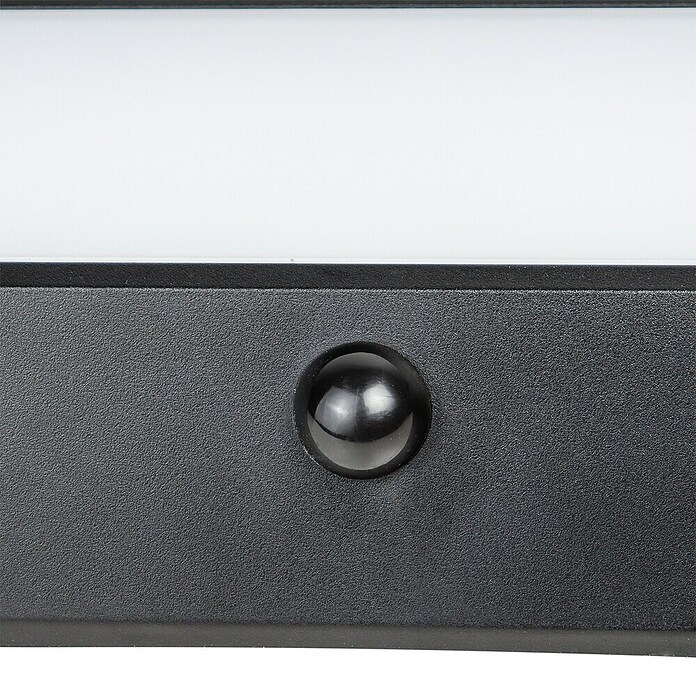 Arte confort Aplique solar LED para exterior Evra (1,5 W, Blanco cálido, Negro) | BAUHAUS