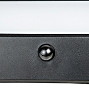 Arte confort Aplique solar LED para exterior Evra (1,5 W, Blanco cálido, Negro) | BAUHAUS