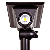 Arte confort Baliza exterior LED Haloz (2 W, Blanco cálido) | BAUHAUS