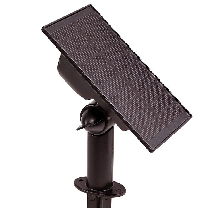 Arte confort Baliza exterior LED Haloz (2 W, Blanco cálido) | BAUHAUS