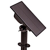 Arte confort Baliza exterior LED Haloz (2 W, Blanco cálido) | BAUHAUS