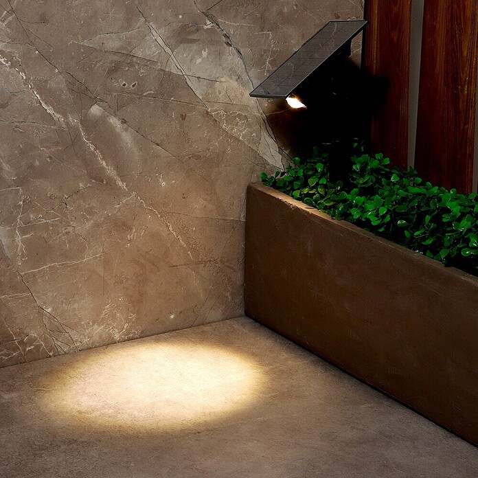 Arte confort Baliza exterior LED Haloz (2 W, Blanco cálido) | BAUHAUS