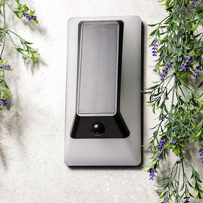 Arte confort Aplique solar para exterior Lexor (1,4 W, Blanco cálido, Blanco) | BAUHAUS